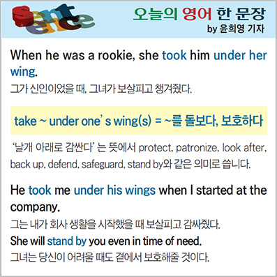 ������ ���� �� ����