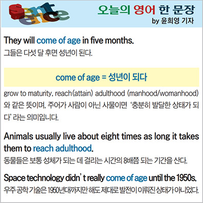 ������ ���� �� ����