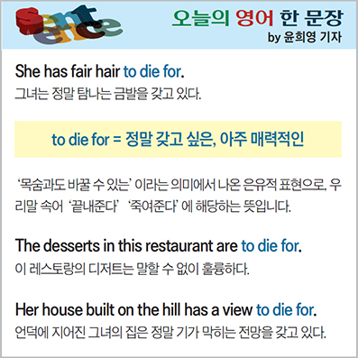 ������ ���� �� ����