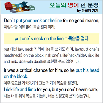 ������ ���� �� ����