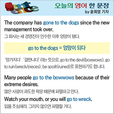 ������ ���� �� ����