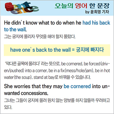 ������ ���� �� ����