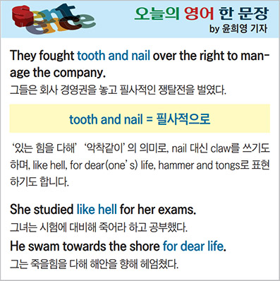 ������ ���� �� ����