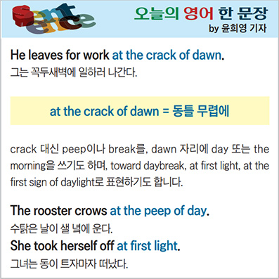 ������ ���� �� ����