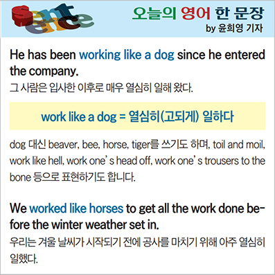 ������ ���� �� ����