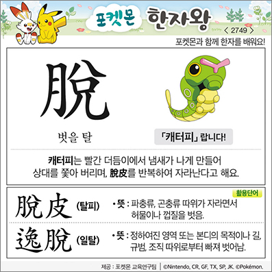 ���ϸ����ڿ�/���ڼ���