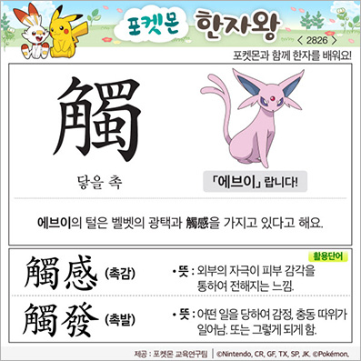 ���ϸ����ڿ�/���ڼ���