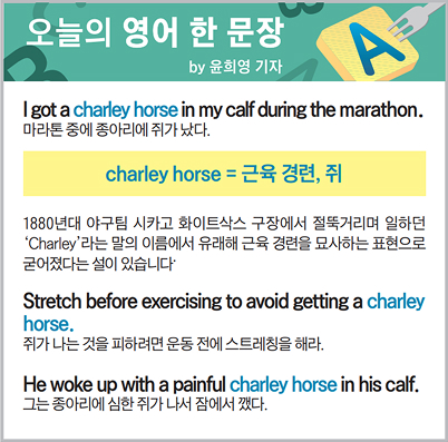 ������ ���� �� ����