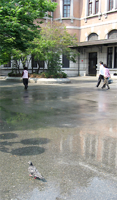 
	'�� �̻� �ߵѱ��� �θ��� ������.' 19�� ���￪���� �� ��ѱ�� ���̸� ���� �� ���� �� ��½ ���� �־���. /������ ���� 
