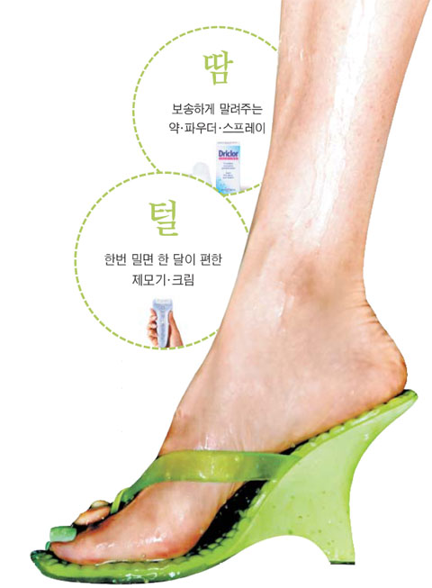 
	�츮, ���� ����  
