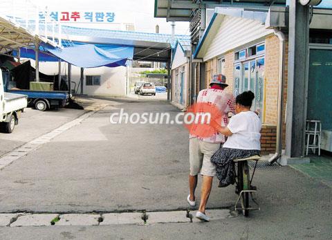 
	������ 28�� �ӽǽ���. �� �Ҿƹ����� �ҸӴϸ� ������ �ڿ� �¿� ä ����� �а� �־���. �Ҿƹ����¡������� ��� �ҸӴ��ε� �ٸ��� ������ �̵��� ������ �¿��帰�١��� ���ߴ�. �������� ���� ���ε��� ���� ����� ��� �־���. /�ӽ�=������ ���� joyjune@chosun.com
