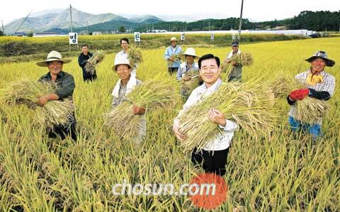 고성녹즙 이미지