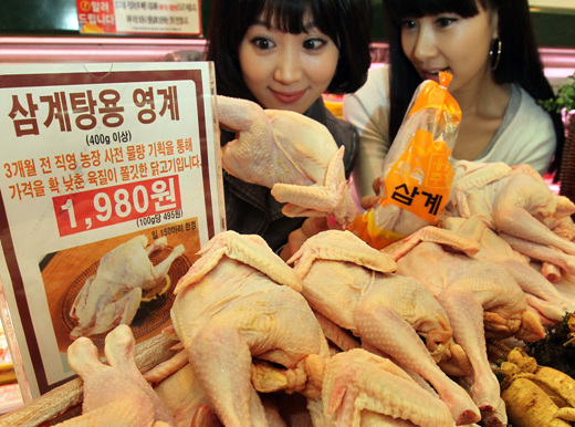 만든 곳: 한국 네티즌본부카페