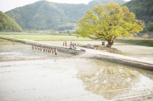 작성: 한국 네티즌본부카페: 변조방지표시