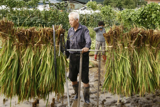 만든 곳→ 한국 네티즌본부카페: 변조방지표시