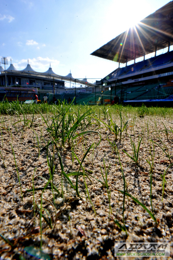 
	[����] �𷡹��� ���� ���б���
