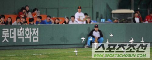 
	[����] '�ű� �浹' ���� �� ���ڴ� �����ϱ�?
