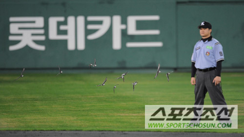 
	[����] '�ű� �浹' ���� �� ���ڴ� �����ϱ�?
