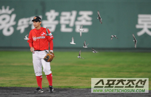 
	[����] '�ű� �浹' ���� �� ���ڴ� �����ϱ�?
