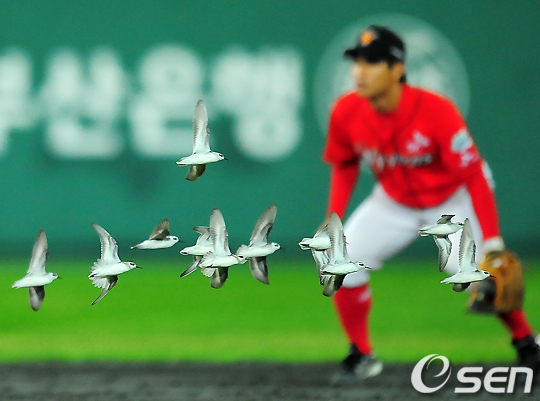 
	[����]��⸦ �����ϴ� �� ��
