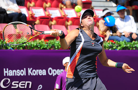 
	[����]Ŭ���̹ٳ��, '������ ����'
