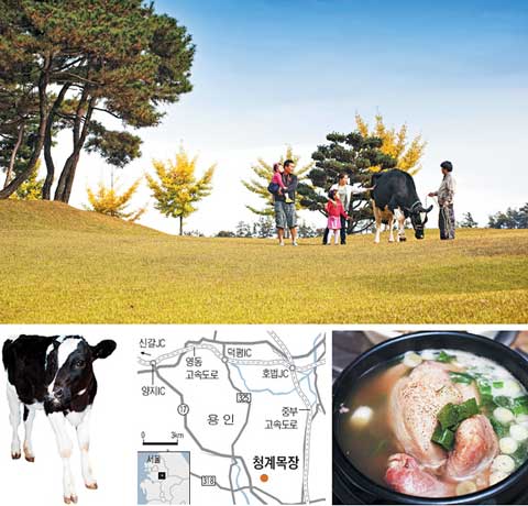 달콤한하루 이미지