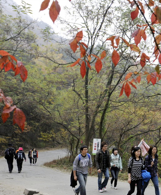 만든 곳→ 한국 네티즌본부카페: 변조방지표시