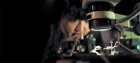 [세계로 가는 공대] 도약하는 공과대학 '과학 강국 코리아' 이끈다