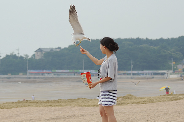 솔밭수상레저 이미지