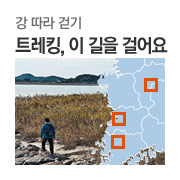 [Ʈ��ŷ, �� ���� �ɾ��] �� ���� �ȱ⡦ �긷�̿��桤 ���갡���桤���ұ� 