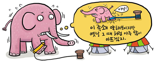 [신문은 선생님] [도전! 창의퀴즈왕] 3톤 코끼리, 허술한 족쇄로 묶어 놨는데 왜 도망 못갈까?