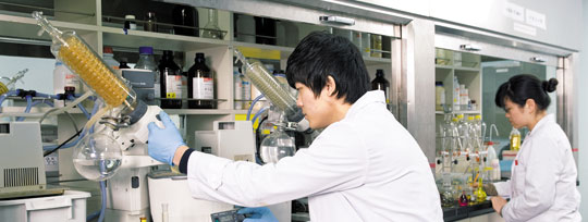 [중부대 산학협력단] 홍삼에 함유된 Rg3 성분, 폐암·대장암 치료 효과 입증