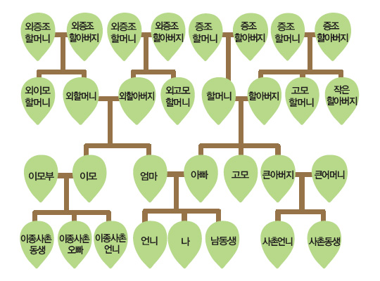 [신문은 선생님] [도전! 창의퀴즈왕] 외할머니가 안 계셨다면… 가족나무 어떻게 바뀔까요?