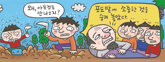 [신문은 선생님] [도전! 창의퀴즈왕] 아버지가 말한 포도밭의 보물, 무엇인지 이제 알겠어요