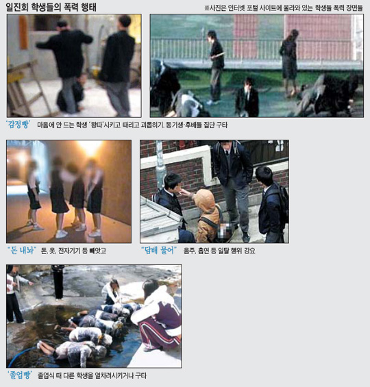 "일진 20만~40만명 될 것"… 조폭처럼 구·시 단위로 조직화