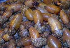 2012020702448_0.jpg