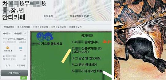 [오늘의 세상] 12살짜리가 만들었다고 믿어지십니까