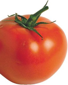 [신문은 선생님] [도전! 창의퀴즈왕] 저는 토마토가 과일이라고 생각해요 왜냐하면…