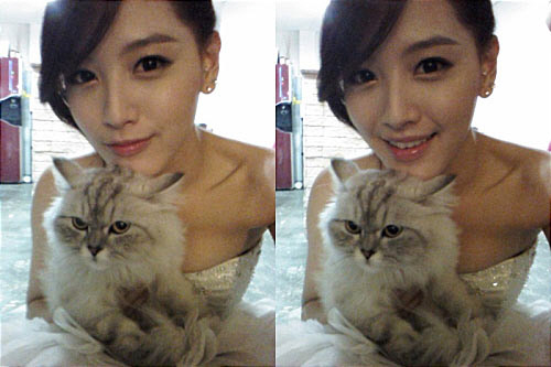 
	 <����=��� ��������>


