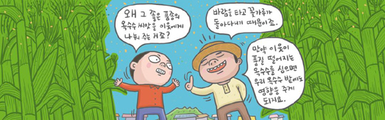 [신문은 선생님] [도전! 창의퀴즈왕] 1등 옥수수의 비결, 이웃 들판에 나눠준 씨앗 덕분이에요