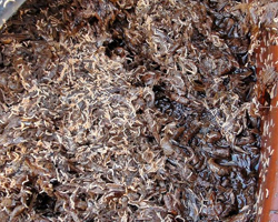 
	16�� �����ؾ�������� ���� �ξ��� �� ������������ ���㰡 ������ ����� ��������� ���� �Ҹ����� ���� ���߿� ������ 10���� '��ǰ������ ����' ���Ƿ� ����� ���� ���̶�� ���� �������� �Կ��� ������ �����ߴ�. (����=�����ذ� ����) /���ý�
