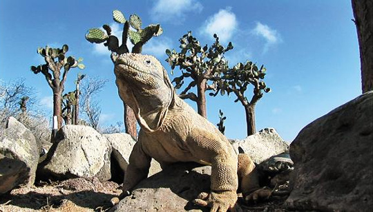 
	������ ���� �������� ��ȭ
