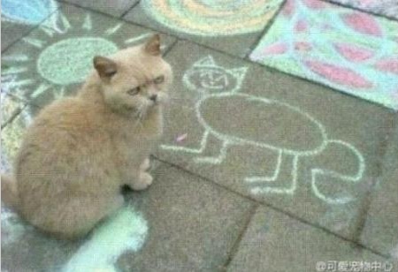 
	�¶��� Ŀ�´�Ƽ ĸó.
