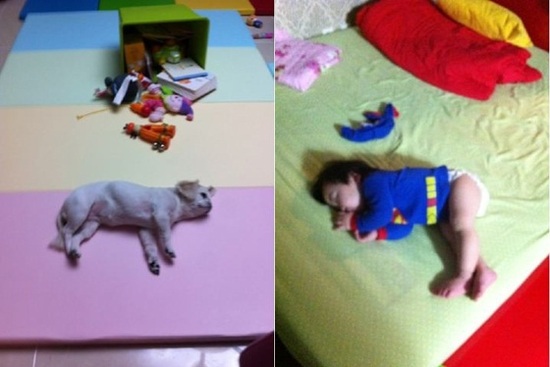 
	��� ������, �������� �Ȱ��� ���� �ִ� �Ƶ� ����..'�Ϳ���'
