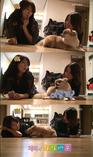 
	'������ ź��' ����, ���������� �ֱ� ���� ��Ʈ ������
