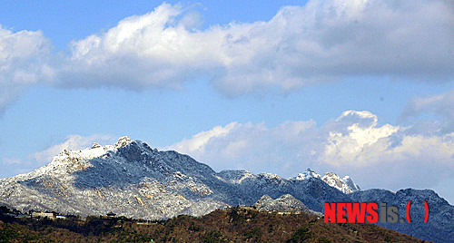 
	
                ������ ���� ���ѻ�
            
