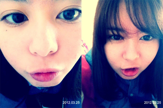 
	<����=�־ƶ� Ʈ����>


