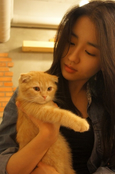 
	��������=�������̿�Ƽ


