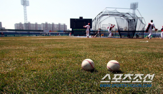 
	�����ܵ� �Ⱦ�� õ���ܵ�� ������ ���ֱ��忡�� 27�� KIA �������� LG���� �ù���⸦ �յΰ� Ÿ���Ʒ��� �ϰ� �ִ�. ����=���ؿ� ���� noodle@sportschosun.com


