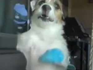 
		�κ�? ������?�������� �ϴ� ��
